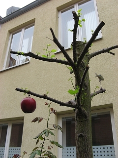 Lübecker Gänge und Höfe